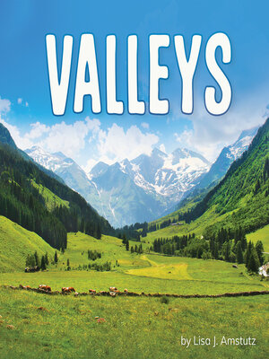 cover image of Valleys